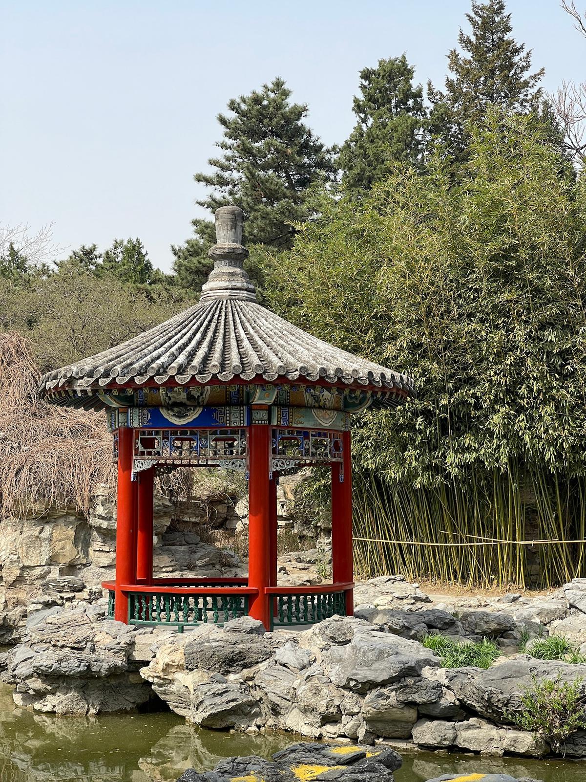 🇨🇳 Beijing - Photo 3