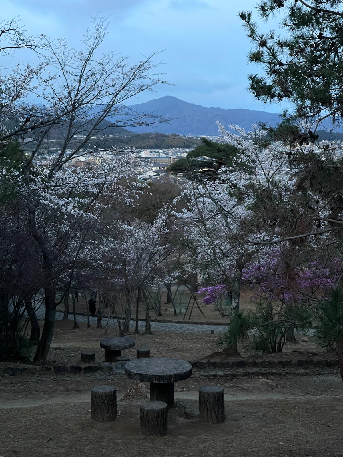 ⛩️ Kyoto - Photo 5