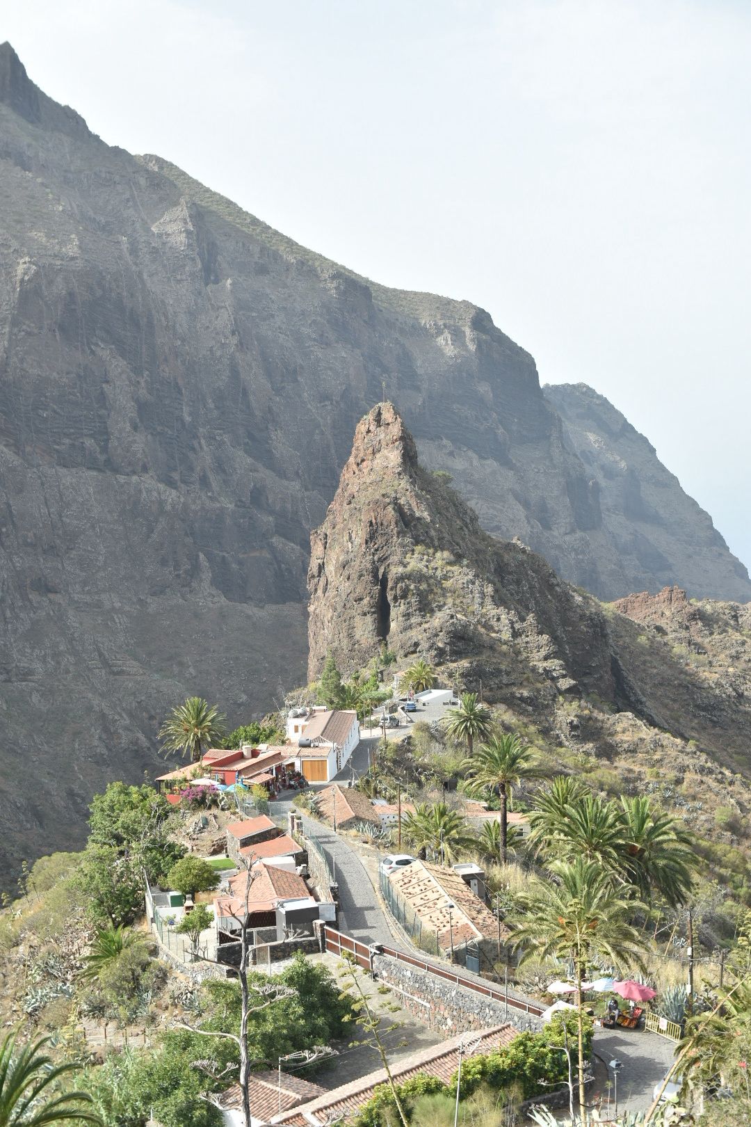 🌴 Tenerife - Photo 4