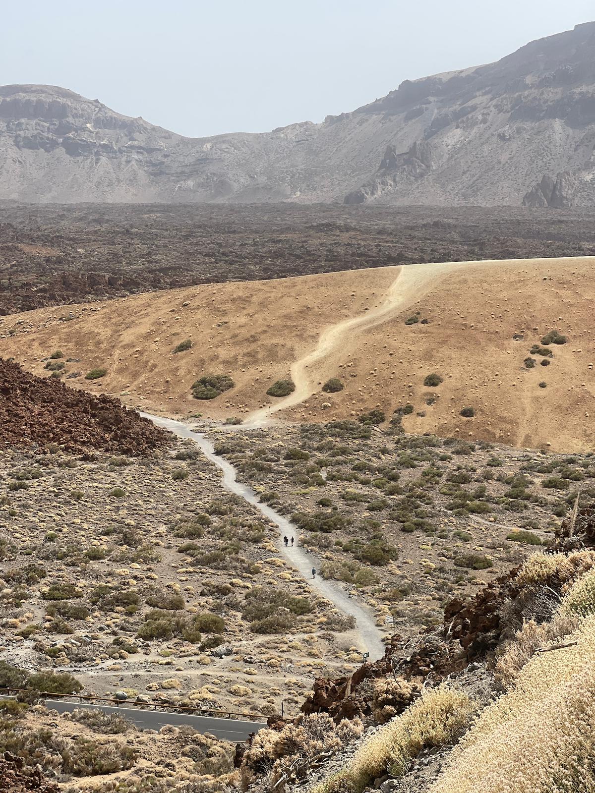 🌴 Tenerife - Photo 6