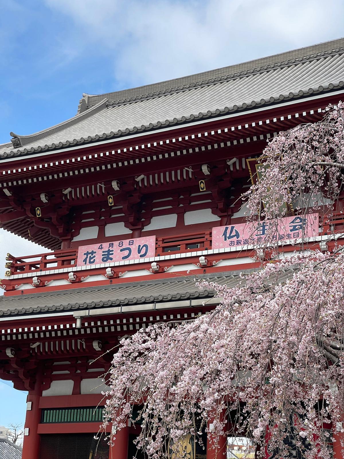 🗼 Tokyo - Photo 5